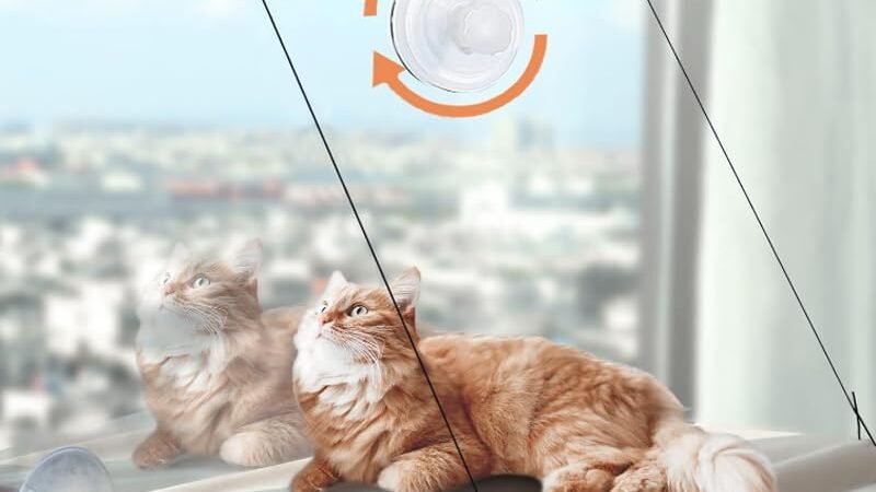 Le Migliori Amache per Gatti 2026: Guida all’Acquisto