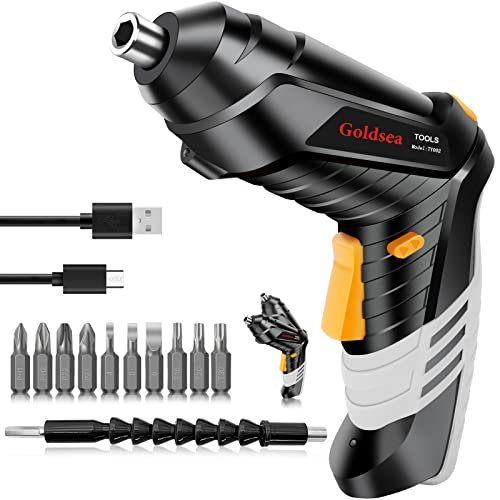 Goldsea avvitatore a batteria 4.2V con punte e caricatore USB