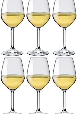 I Migliori Bicchieri da Vino