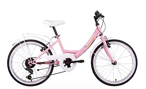 Discovery City Bike 20 pollici rosa da città