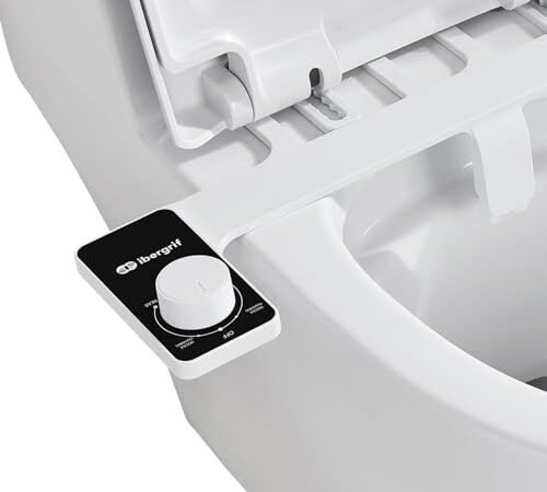 Migliori Bidet 2026: la guida all acquisto