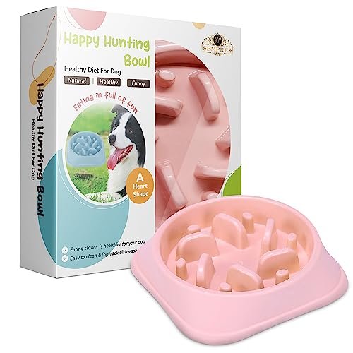 SP SEMPRE+ ciotola anti ingozzamento per cani alimentazione lenta