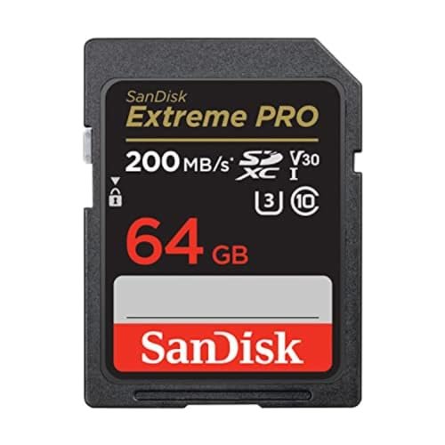 SanDisk schede SD