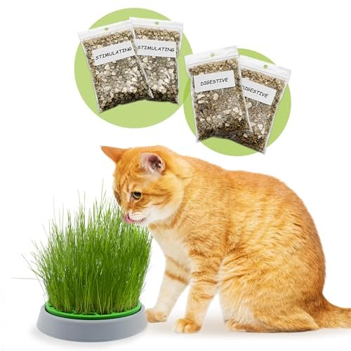 R&R kit erba gatta double seeds vaso germinante
