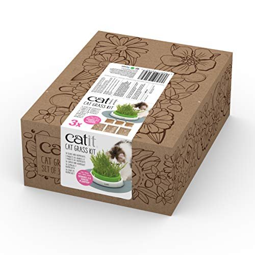 Catit kit erba gatta senses con vaso e semi