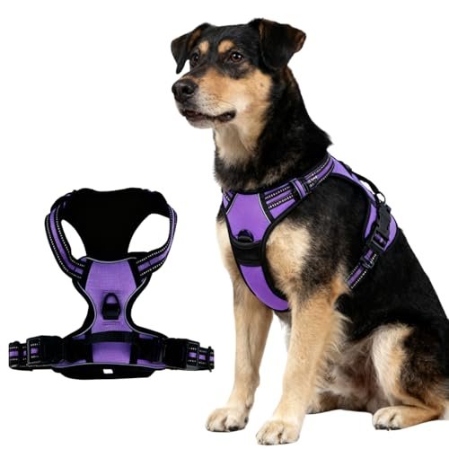 CUEMOON pettorine per cane
