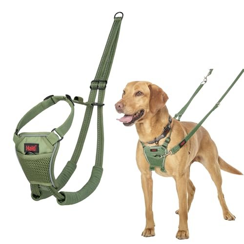 Halti pettorine per cane
