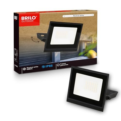 BRILONER faretto LED esterno luce bianco neutro 20W 180