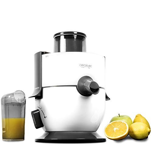 Rainpal frullatore portatile per frullati e smoothie 600ml