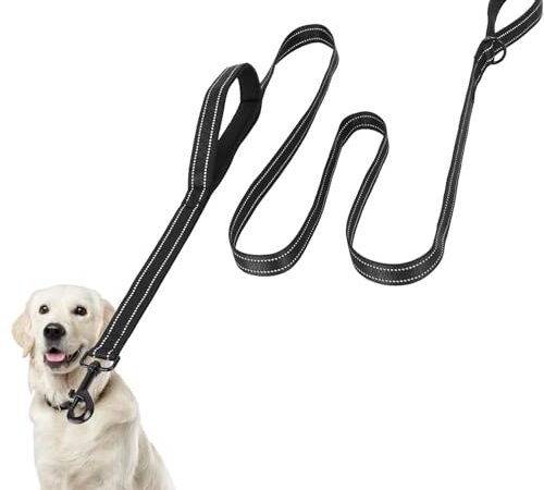 I Migliori Guinzagli per Cani 2026
