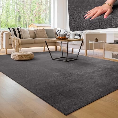 Paco Home tappeto variante colore