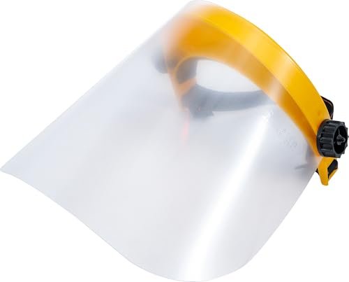 BGS visiera trasparente per protezione totale del viso