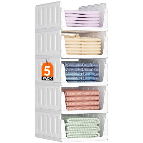 Lifewit organizer armadio interno 5 pezzi impilabili