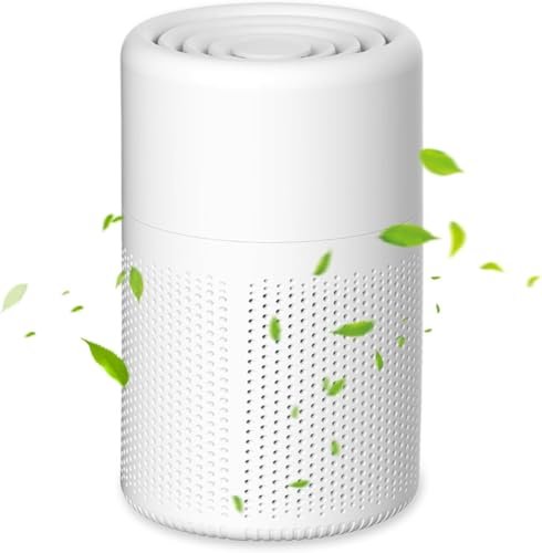 ZaejjaeY purificatore d aria ionico per casa e camera