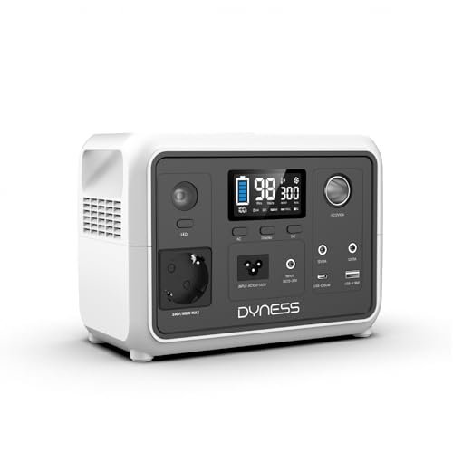 Dyness power station portatile 300W 256Wh generatore corrente