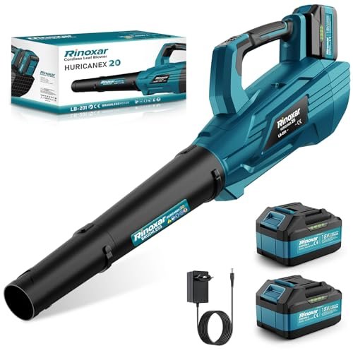 RINOXAR soffiatore a batteria 5 velocità senza filo 21V
