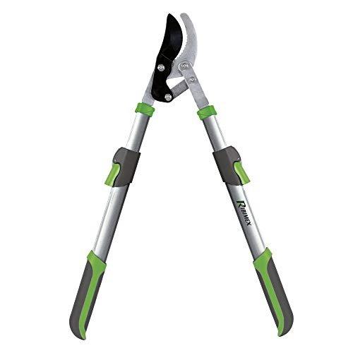 Ribimex PRCBT98 troncarami estensibile da 95 cm con manici regolabili
