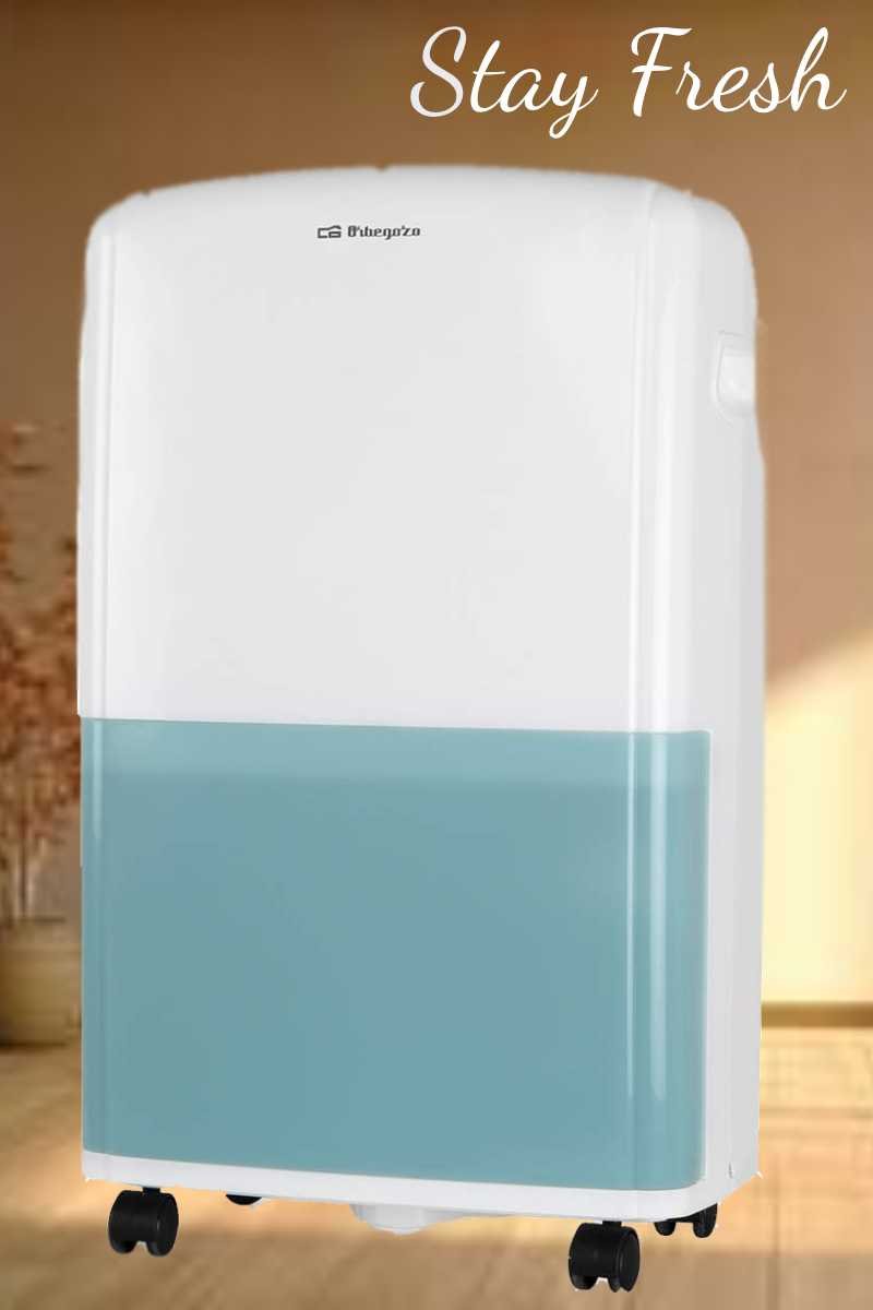 Orbegozo DH 1650