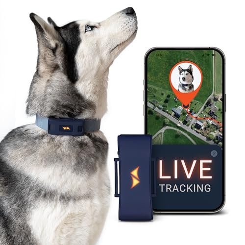 PAJ GPS collari GPS per cani