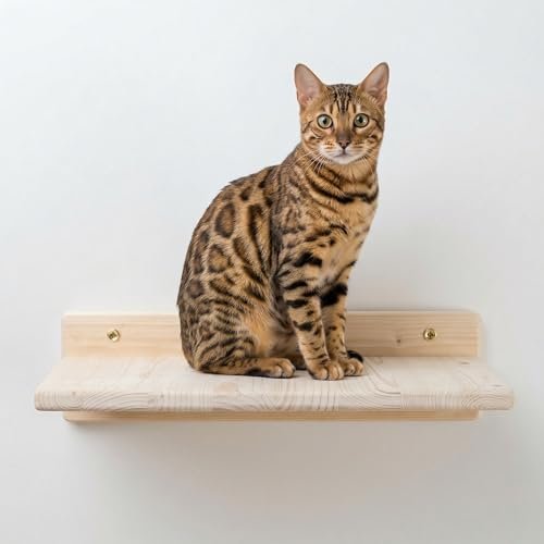 PERCORSIPERGATTI.IT passerelle per gatti