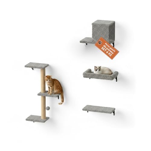 Avilia passerelle per gatti