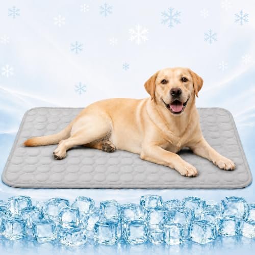 BASVII tappetini rinfrescanti per cani