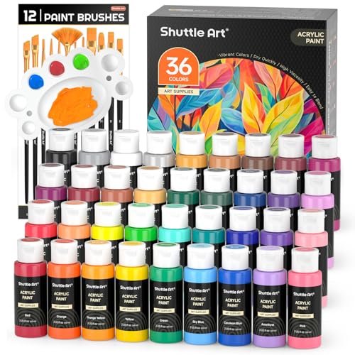 Shuttle Art kit per pittura acrilica, immagine reale del prodotto