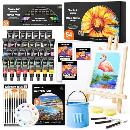 Shuttle Art kit per pittura acrilica, immagine reale del prodotto