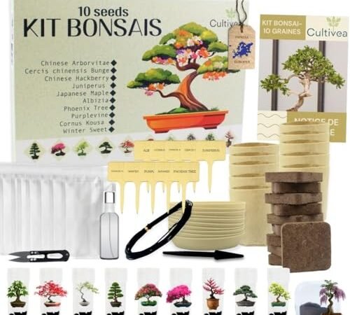 Migliori kit per bonsai 2026