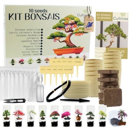 Migliori kit per bonsai 2026