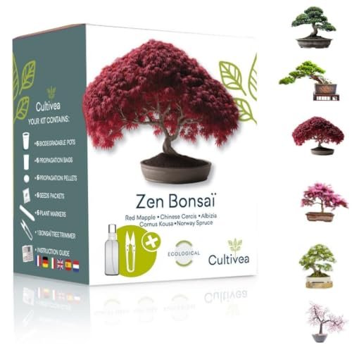 Cultivea kit per bonsai