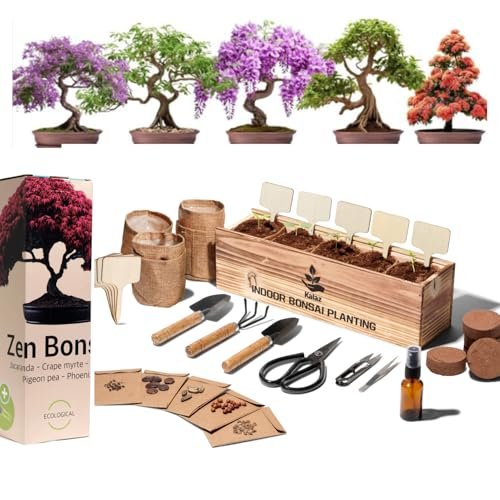 Générique kit per bonsai