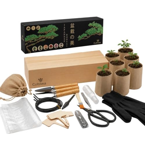 Cultivea kit per bonsai