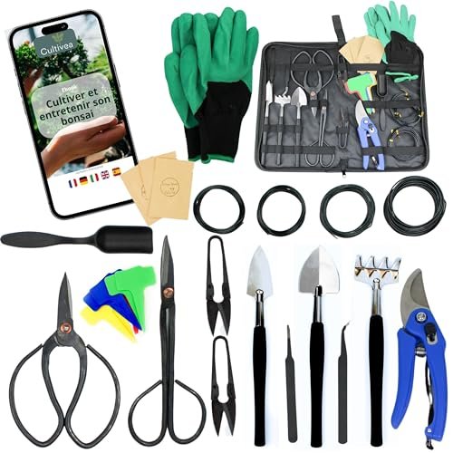 Cultivea kit per bonsai