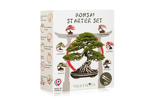 Vegetalius kit per bonsai