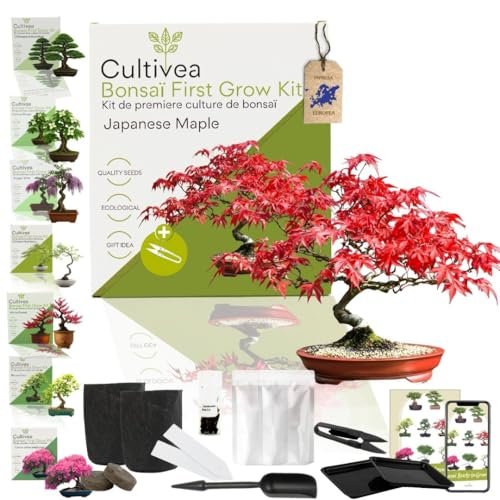 Cultivea kit per bonsai
