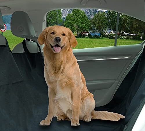 Migliori protezioni sedile auto per cani 2026: guida e confronto