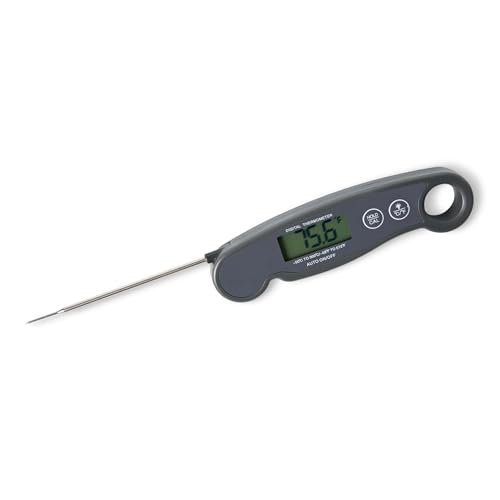 Amazon Basics sonde di temperatura da cucina
