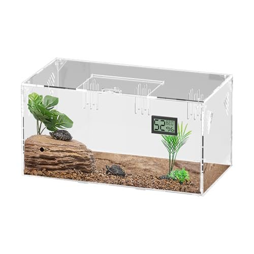Giznzg terrari per rettili