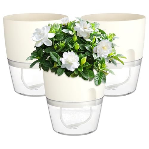 Windfromort vaso autoirrigante per balcone