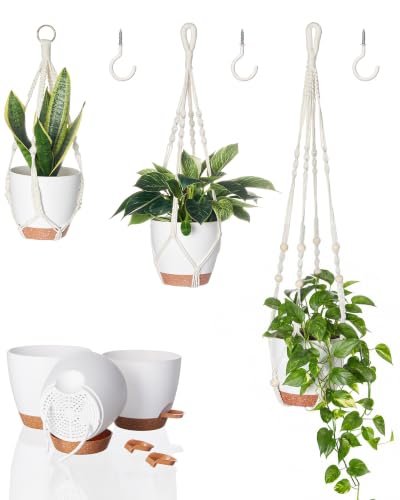 Bamworld vaso autoirrigante per balcone
